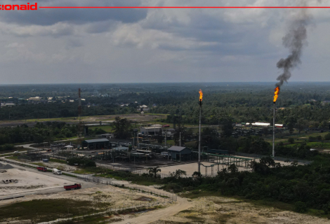 Niger Delta oil extraction